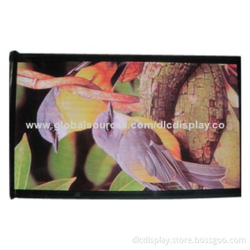 Passive Matrix OLED LCD Display Modules, High Contrast LCD Panel, Wide Temperature Range LCD